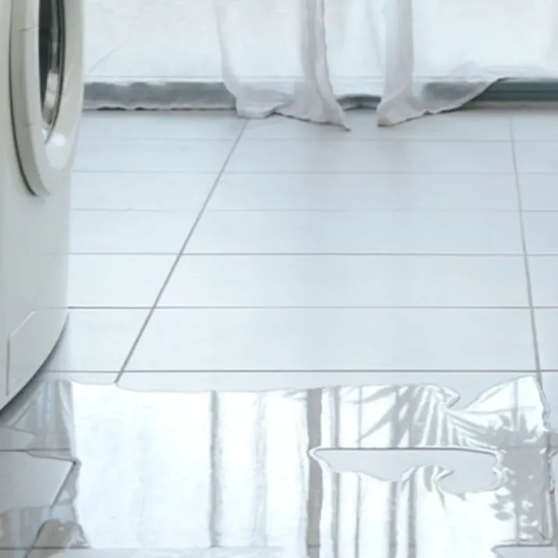 Appliance Leak Cleanup in Plymouth, NH