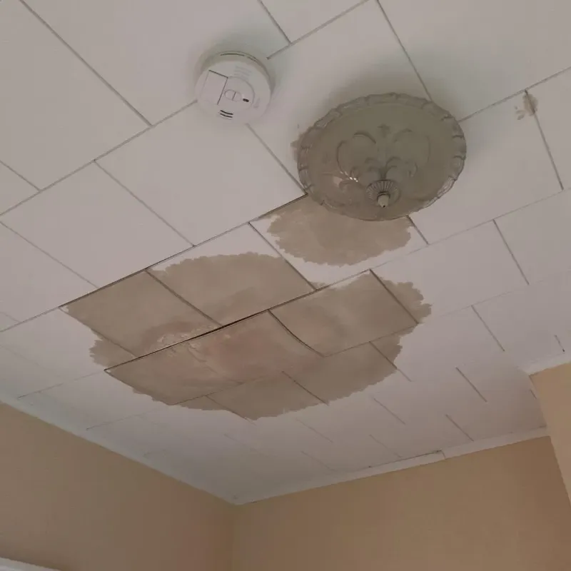 Ceiling Water Damage Repair in Plymouth, NH