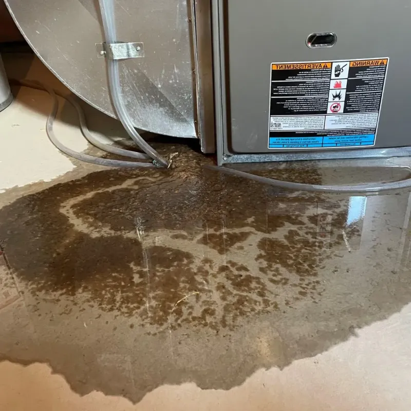 Pipe Burst and Leak Restoration in Plymouth, NH